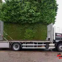 DAF CF75.310 Oprijwagen - Afbeelding 29